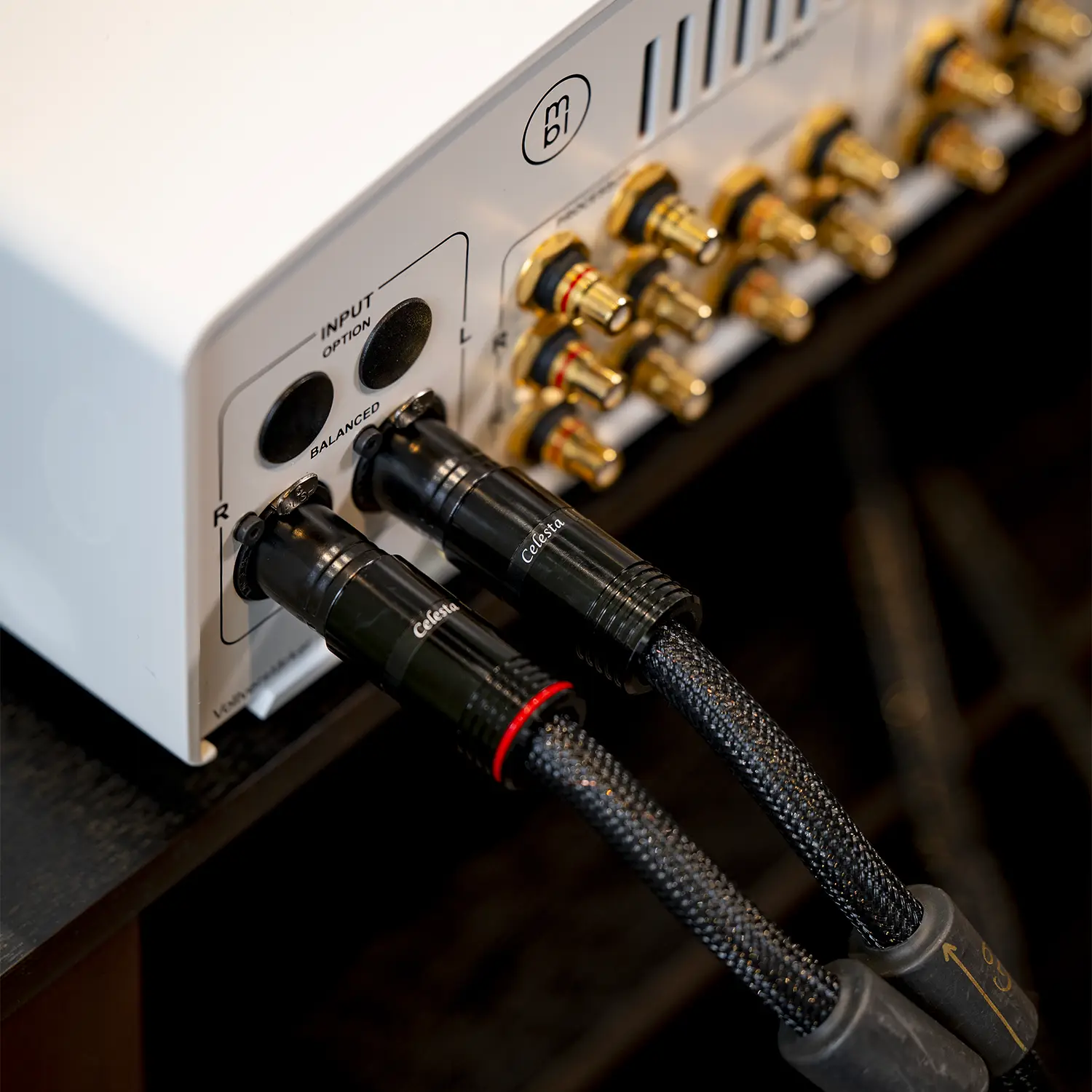 Esprit - Celesta XLR